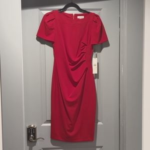 Calvin Klein NWT Red Size 4 Business Dress CD8C12UJ